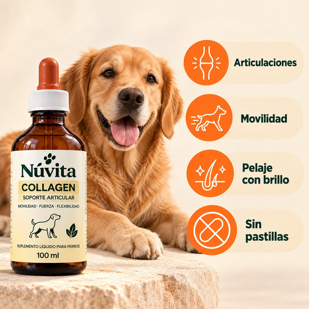 Núvita Collagen para articulaciones, movilidad y pelaje con brillo, sin pastillas
