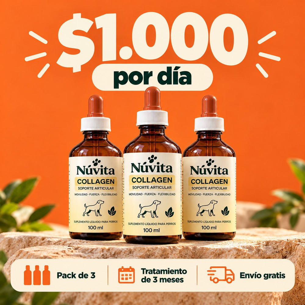 Pack de 3 Núvita Collagen: 1.000 pesos por día, tratamiento de 3 meses con envío gratis